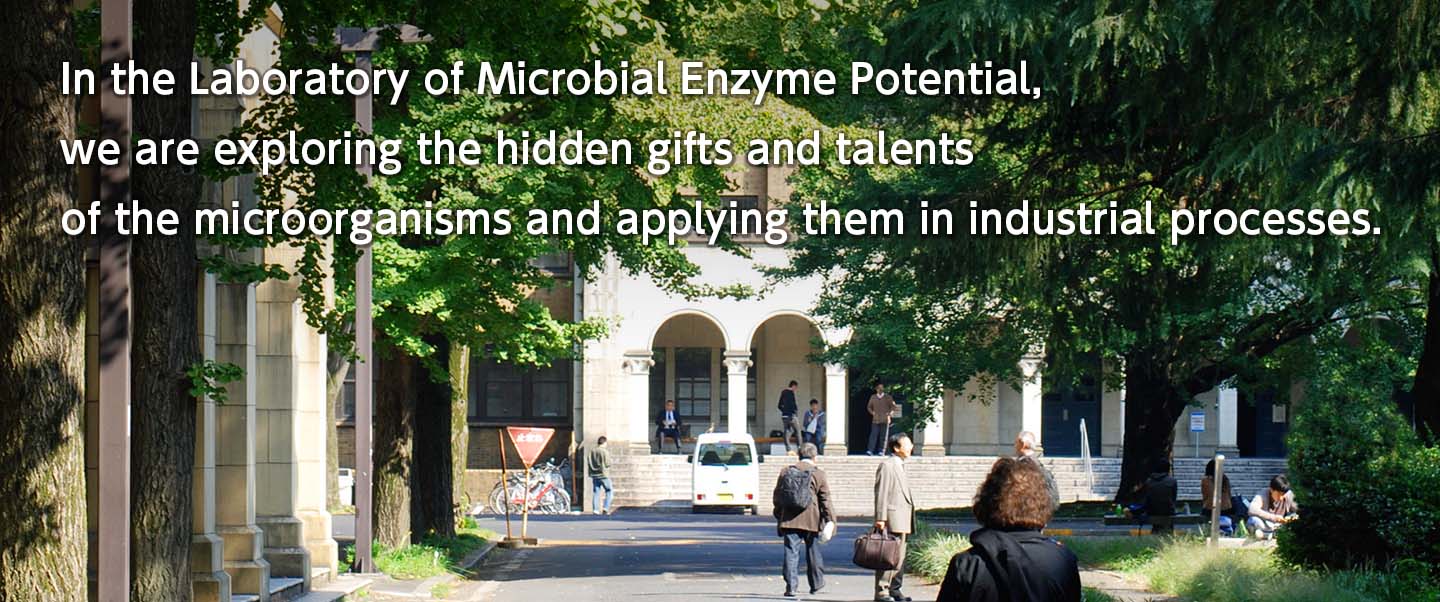 In the Laboratory of Microbial Enzyme Potential, we are exploring the hidden gifts and talents of the microorganisms and applying them in industrial processes.
